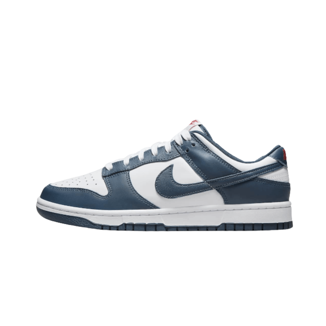 Nike Dunk Low Valerian Blue