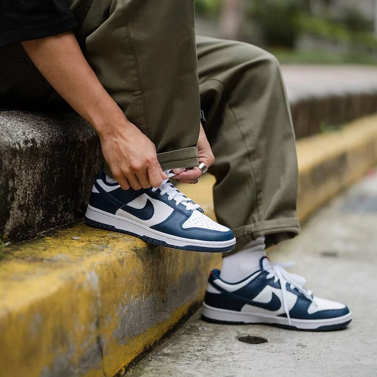 Nike Dunk Low Valerian Blue